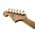 Fender Troy Van Leeuwen Jazzmaster Bound RW Oxblood elektromos gitár