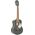 Ortega RUGA-PLT tenor ukulele