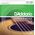 D'Addario EJ18 Phosphor Bronze 14-59 akusztikus gitárhúr