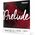 D'Addario J810 Prelude 4/4M hegedű húrkészlet
