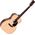 Ditson G-10 akusztikus gitár