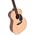 Ditson G-10 akusztikus gitár