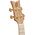 Ortega RUAR-BI koncert ukulele