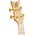 Ortega RUAR-MI koncert ukulele