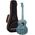 Ortega RUSWB-TE tenor ukulele