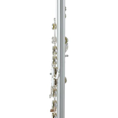 Roy Benson FL-402E2 (RB700.413) fuvola