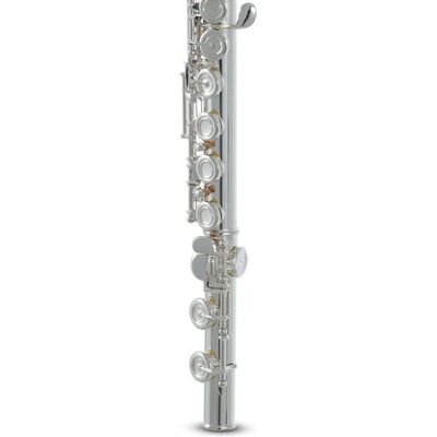 Roy Benson FL-602E (RB700.432) fuvola