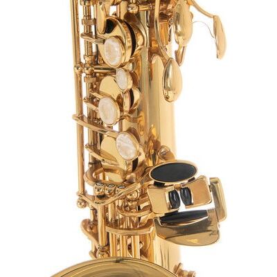 Roy Benson AS-202 (RB700.601) Eb alt szaxofon