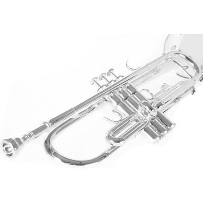 Roy Benson TR-202S (RB701.072) Bb trombita