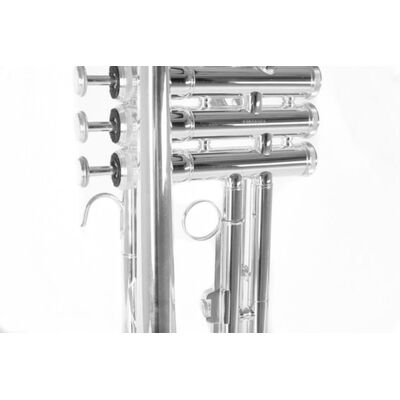 Roy Benson TR-202S (RB701.072) Bb trombita