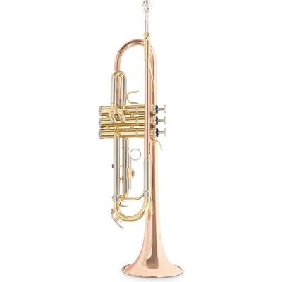 Roy Benson TR-202G (RB701.075) Bb trombita