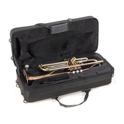 Roy Benson TR-202G (RB701.075) Bb trombita