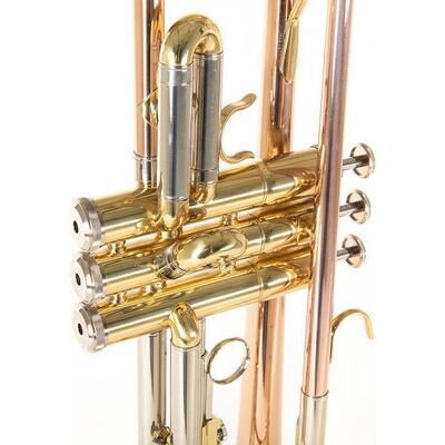 Roy Benson TR-202G (RB701.075) Bb trombita