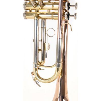 Roy Benson TR-202G (RB701.075) Bb trombita