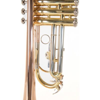 Roy Benson TR-202G (RB701.075) Bb trombita