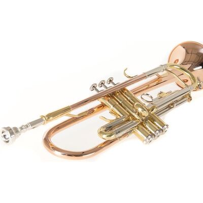 Roy Benson TR-202G (RB701.075) Bb trombita