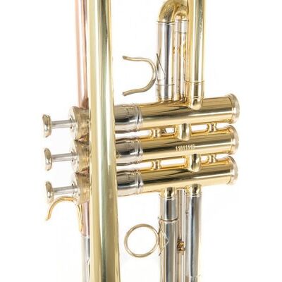 Roy Benson TR-403 (RB701.084) Bb trombita
