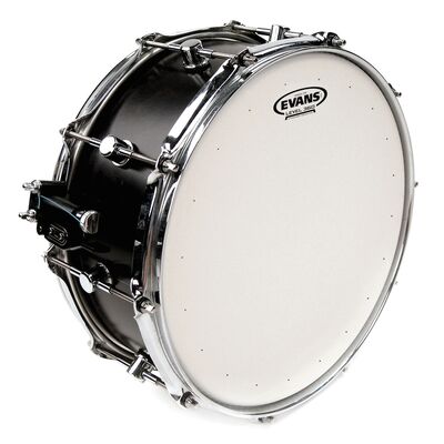 Evans B14DRY Genera Dry 14" Coated dobbőr