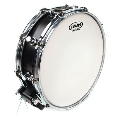 Evans B14GEN Genera 14" Coated dobbőr