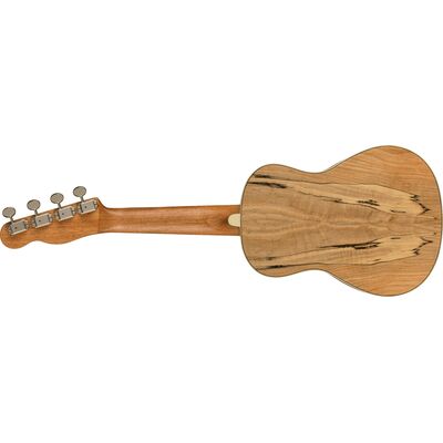 Fender Zuma Exotic Spalted Maple koncert ukulele