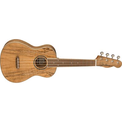 Fender Zuma Exotic Spalted Maple koncert ukulele