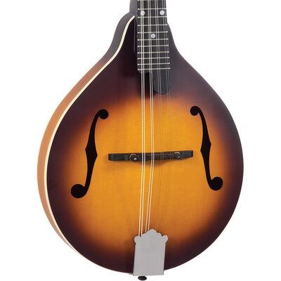 Recording King RAM-3-TS Tobacco Burst A-Mandolin