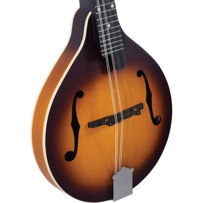 Recording King RAM-3-TS Tobacco Burst A-Mandolin