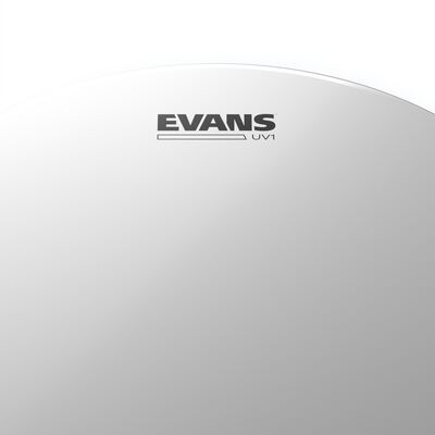 Evans B15UV1 UV1 15” Coated dobbőr