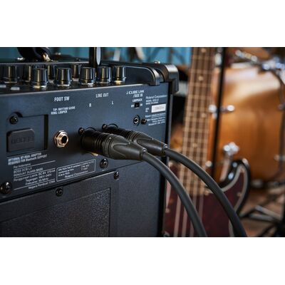 BOSS DUAL CUBE BASS LX basszusgitár kombó