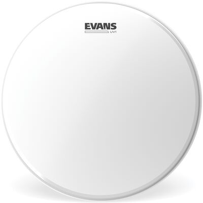 Evans BD24UV1 UV1 24" Coated dobbőr
