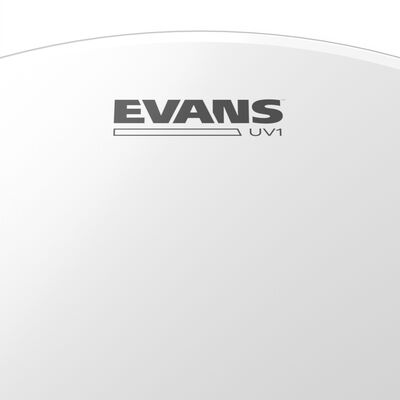 Evans BD16UV1 UV1 16" Coated dobbőr