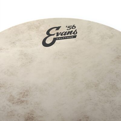 Evans TT08C7 Calftone 8" dobbőr