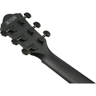 Ibanez AEWC621-BOT elektro-akusztikus gitár