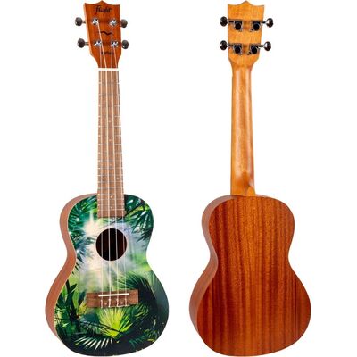 Flight AUC-33 Jungle koncert ukulele