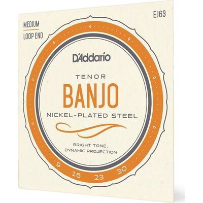 D'Addario EJ63 banjo húr