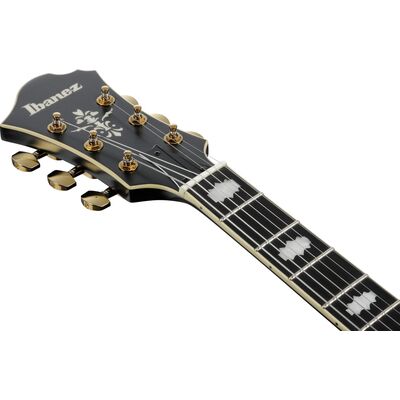 Ibanez PM3C-BKL Pat Metheny Signature elektromos gitár