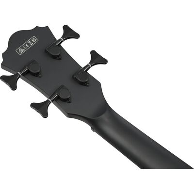 Ibanez AEGB420-BOT elektro-akusztikus basszusgitár