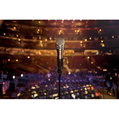 Shure KSM8/N Dualdyne dupla-membrános kézi dinamikus énekmikrofon