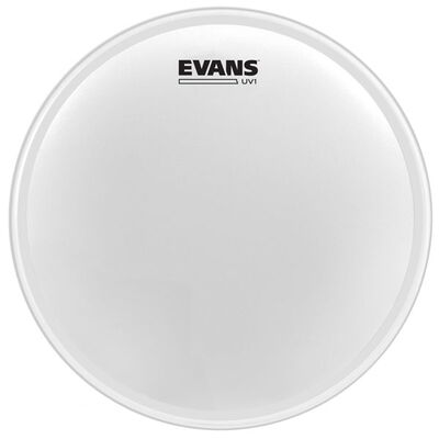 Evans B14UV1 UV1 14” Coated dobbőr