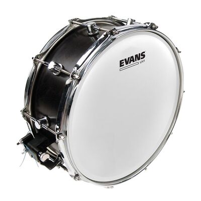 Evans B14UV1 UV1 14” Coated dobbőr
