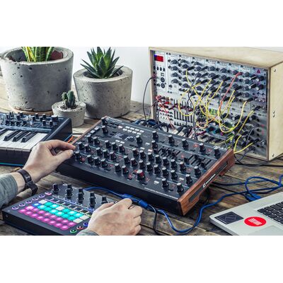 Novation Peak nyolcszólamú polifonikus szintetizátor