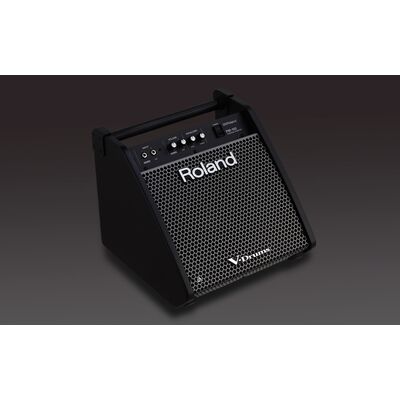 Roland PM-100 dobmonitor