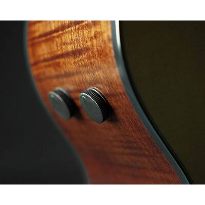 Ibanez AE295-LGS elektro-akusztikus gitár