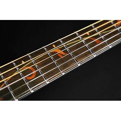 Ibanez AE295-LGS elektro-akusztikus gitár