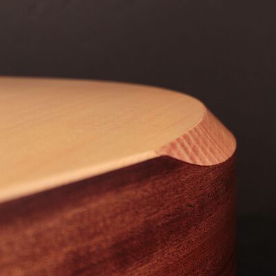 Cort Earth Bevel Cut-OP​ akusztikus gitár