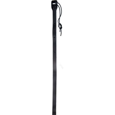 Planet Waves 75M00 mandolinheveder