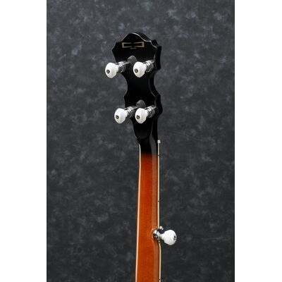Ibanez B200 banjo