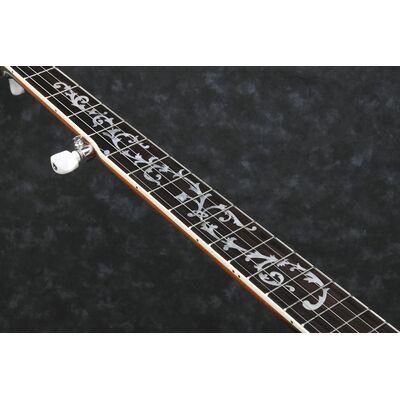 Ibanez B200 banjo