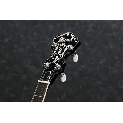 Ibanez B200 banjo