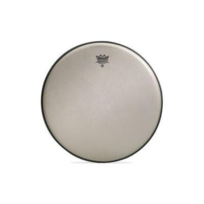 Remo RA-0014-SS Renaissance 14" dobbőr